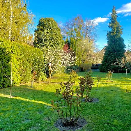 Roselio Garden Daire Hévíz Dış mekan fotoğraf